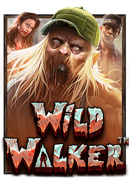 เล่นแบบทดลอง ล ง maxbet กับค่ายดัง โอ้โห! มันส์มาก